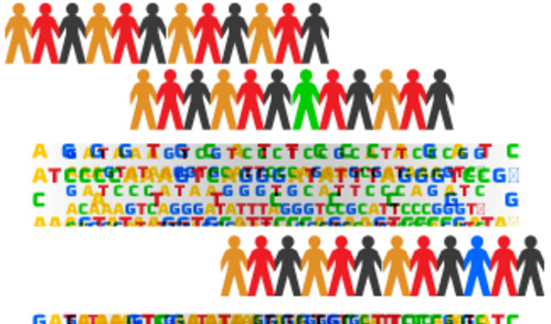 1000 Genomes Project