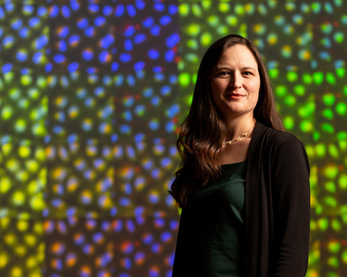 Anne Carpenter wants to make images as computable as the genome.