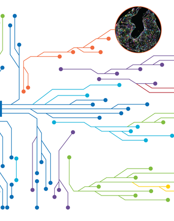AI in biomedical research