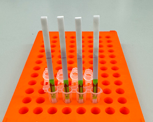 Four paper strips inside small tubes held by an orange rack.