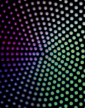 This visualization illustrates the morphological variation of the BBC021 dataset