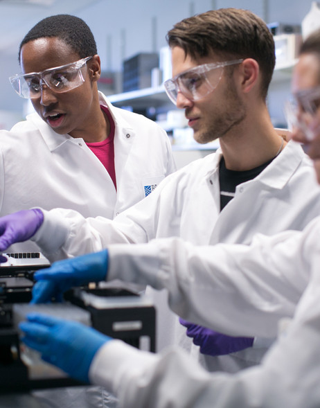 Careers - Broadies working in a lab