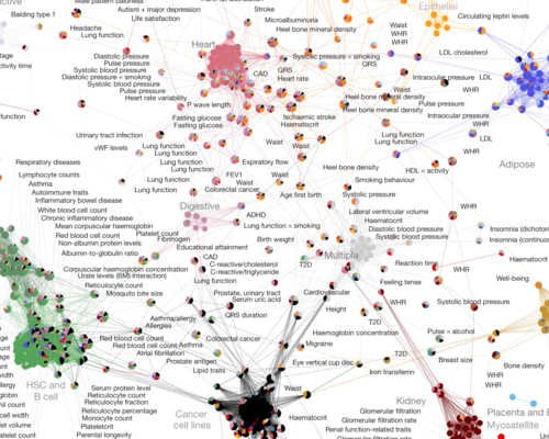 Adapted from <a href=3_.html target="_blank">Boix CA, et al. <em>Nature</em>, 2021</a>.