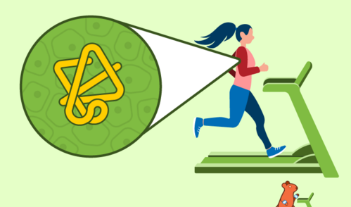 Graphic showing a person and rat running on treadmills; an inset shows a protein in the person's arm.