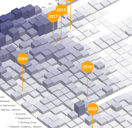 Screenshot of the publication viewer display, showing publications by year and topic