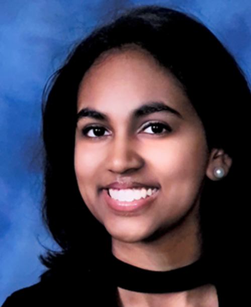 Sachi Krishna
